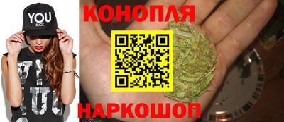 индика Северобайкальск