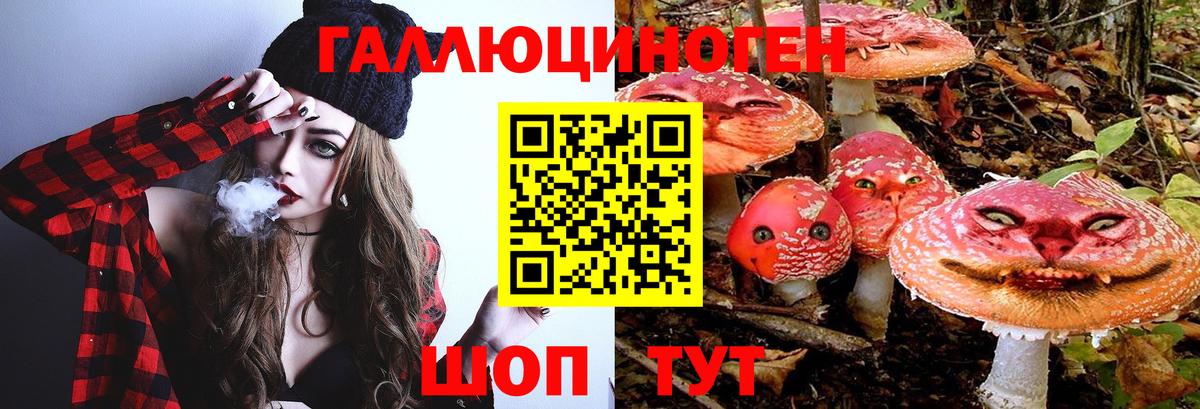 Малгобек  Псилоцибиновые грибы прущие грибы  Вход с VPN 