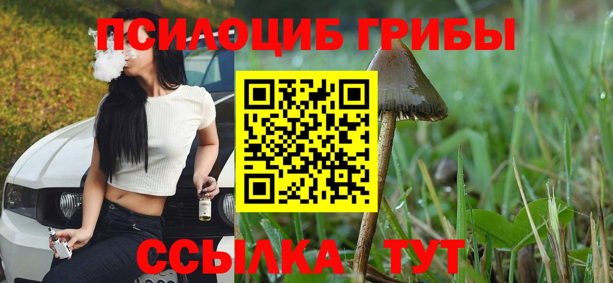 Галлюциногенные грибы MAGIC MUSHROOMS Малгобек